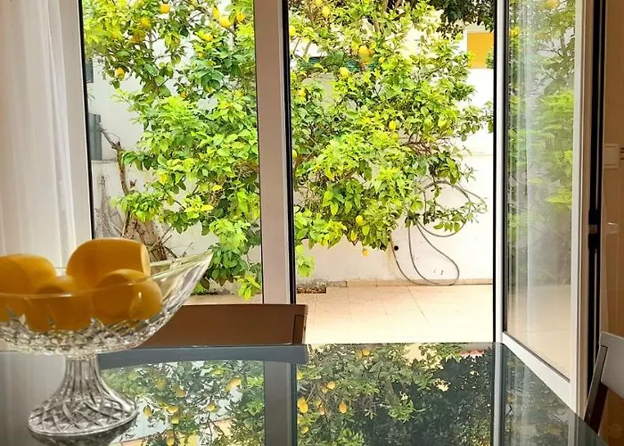 ゲストハウス Casa Dos Limoes カルダス・ダ・ライーニャ